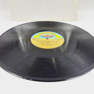 LIGHTIN' RICH BIG JOHN & THE MANIACS LP VINYL RECORD