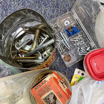 Wood screws/hex nut case assortment