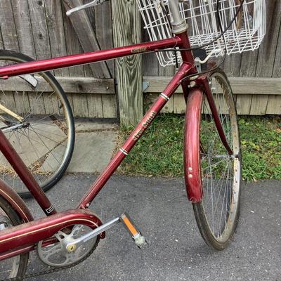 G1243 Vintage Tree Spirit Bicycle with Pump & Helmet