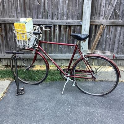 G1243 Vintage Tree Spirit Bicycle with Pump & Helmet