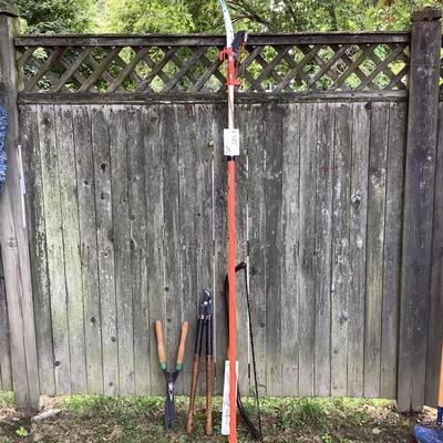 G1253 Branch Cutting Lot