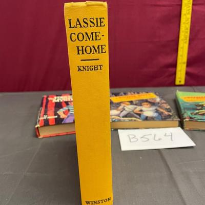 Lassie, Power Boys and Mystery Book