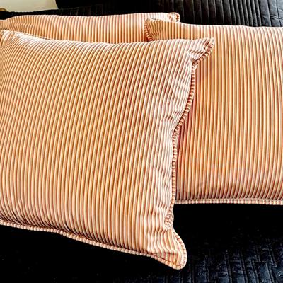 LOT 150  GROUP OF 3 EURO FEATHER PILLOWS IN STRIPE PILLOW TICKING SHAMS