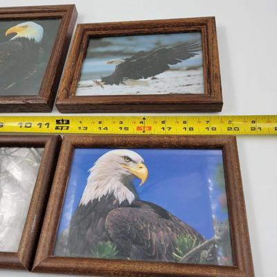 FANTASTIC BALD EAGLE FRAMED PICTURES