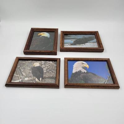 FANTASTIC BALD EAGLE FRAMED PICTURES