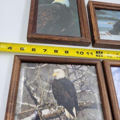 FANTASTIC BALD EAGLE FRAMED PICTURES