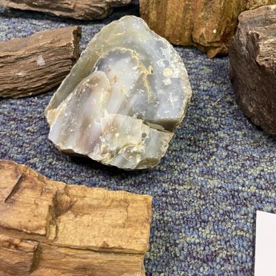 Rock assortment and identification book