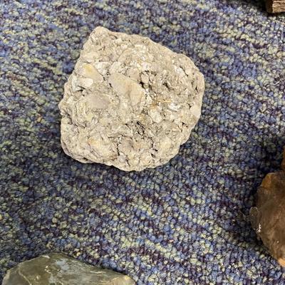 Rock assortment and identification book