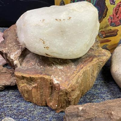 Rock assortment and identification book