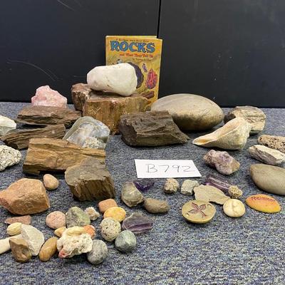 Rock assortment and identification book