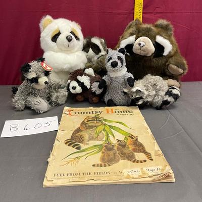 Raccoon Assortment & 1937 Magazine