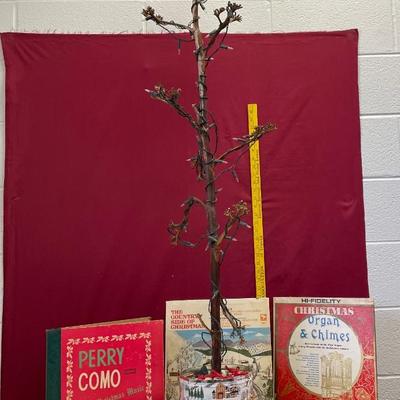 Christmas records and tree