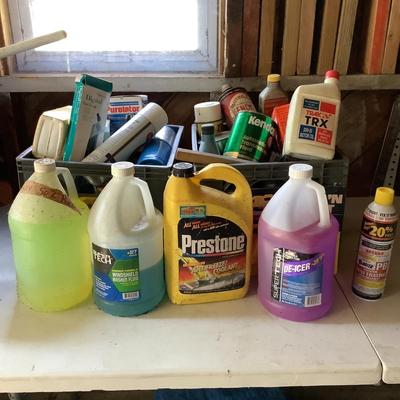 G1273 Assorted Car Fluids & Cleaners