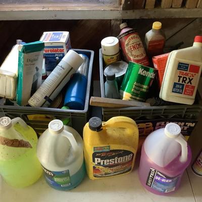 G1273 Assorted Car Fluids & Cleaners