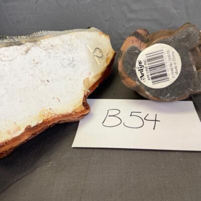 Raccoon Assortment #1