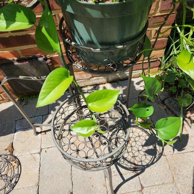 3 Pot plant stand with plants