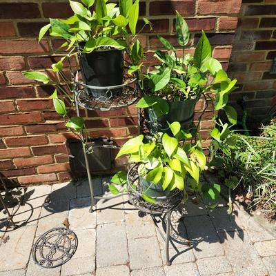 3 Pot plant stand with plants