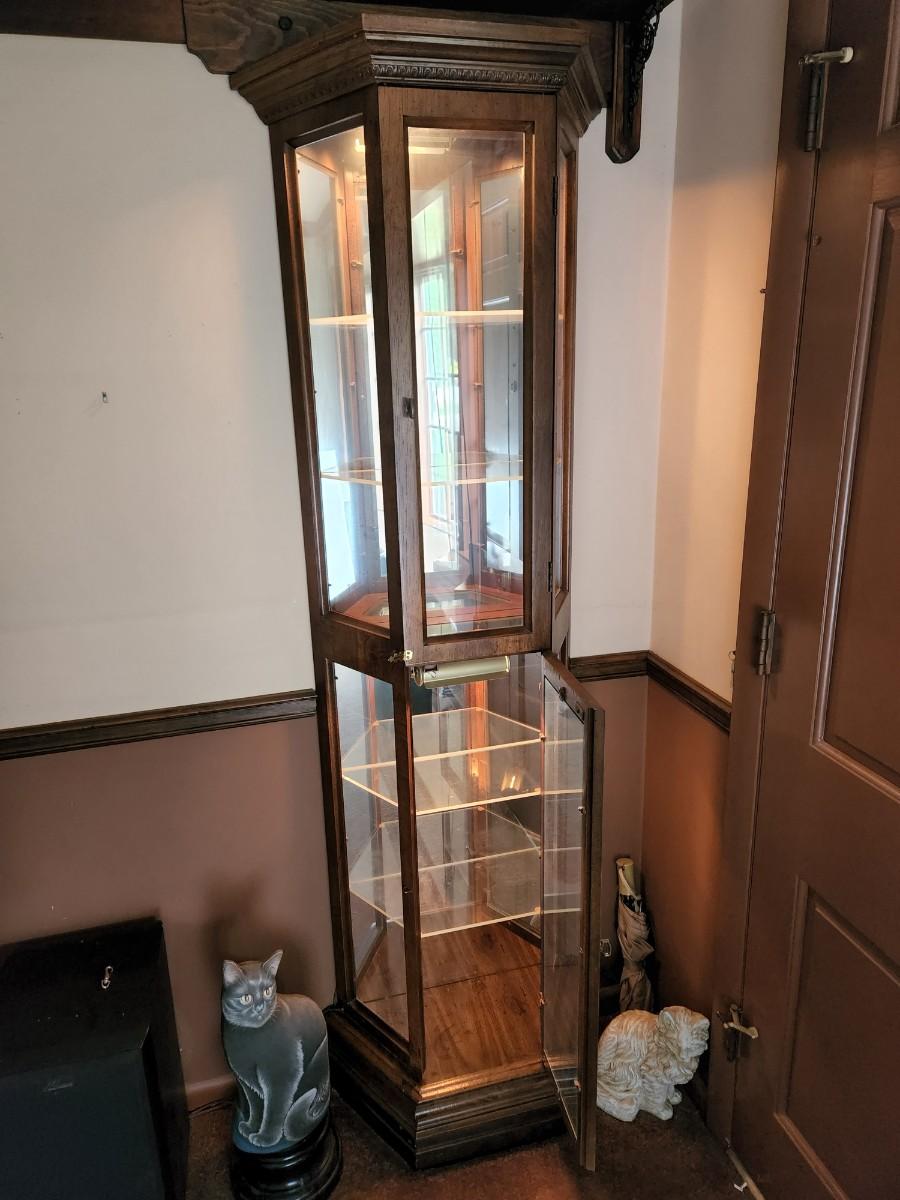 Light Curio Display with latches to lock 24" x75" 2