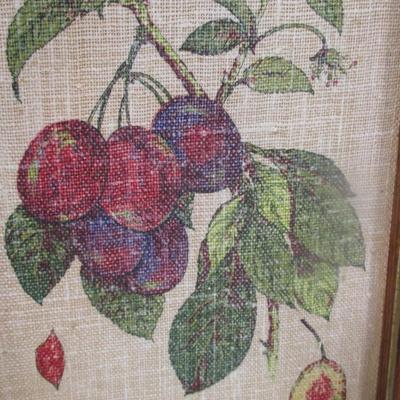Vintage Fruit Paintings Blackberry & Plum