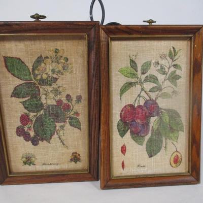 Vintage Fruit Paintings Blackberry & Plum