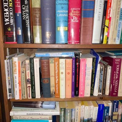 3B22-Large Book Lot
