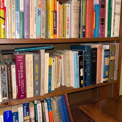 3B22-Large Book Lot