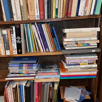 3B24-Large book lot