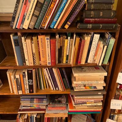 3B24-Large book lot