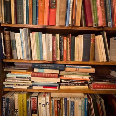 3B25-Large Book Lot