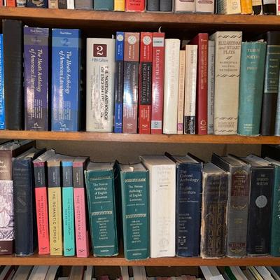 3B26-Large Book Lot