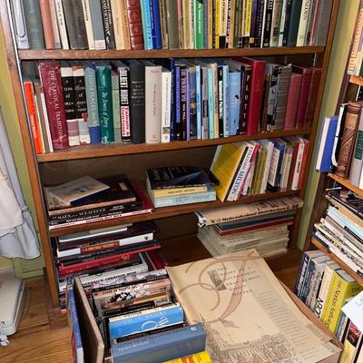 3B27-Large Book Lot