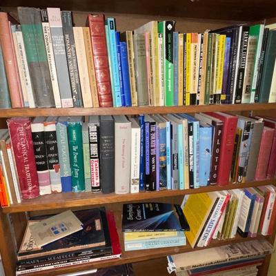 3B27-Large Book Lot