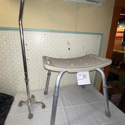 Z31-Shower chair and cane