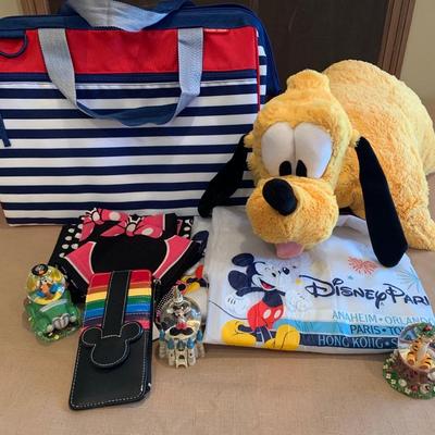 LOT 54: Disney Collection: Snowglobes, Rain Ponchos, Wallet, Scarves