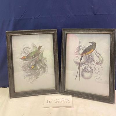 Beautiful Bird Pictures