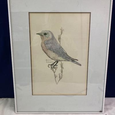Bird Art Print Signed and # 13/200