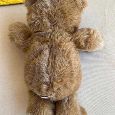 Teddy bear