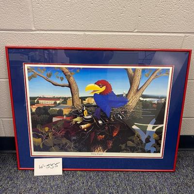 Jayhawks Picture