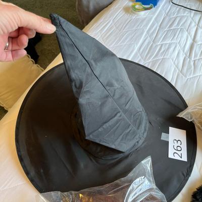 Witch Hat & Wigs