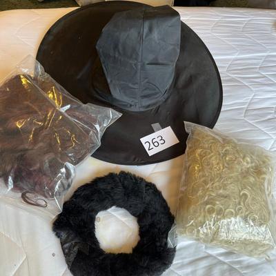Witch Hat & Wigs