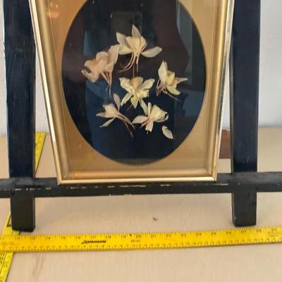 Framed yellow columbines