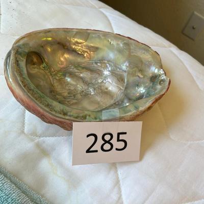 Abalone Sea Shell