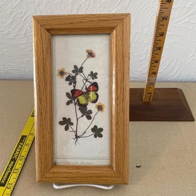 Butterfly wall art