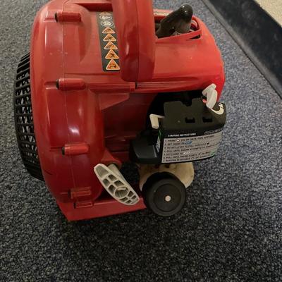 Homelite Gas blower