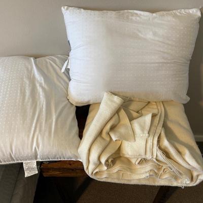 1B6-Pillows and blanket