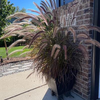 A1-Large black planters with risers, decorative grass