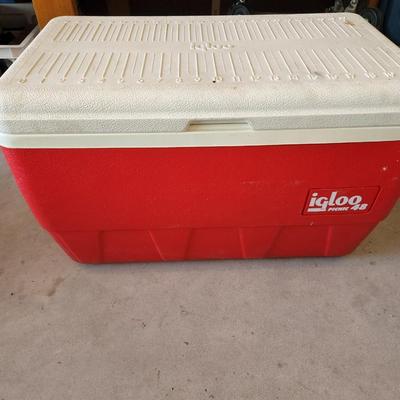 Red Igloo Cooler ice Chest