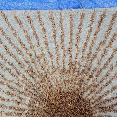 Rug 32 detail
Teal and tan gold accent starburst textured rug 8 x 10 
$499