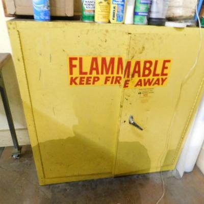 Industrial Double Door Metal Fireproof Cabinet for Chemicals and More (No Contents)