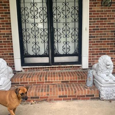 Set of vintage cement sitting /lying lions on their own rectangle pedestal's